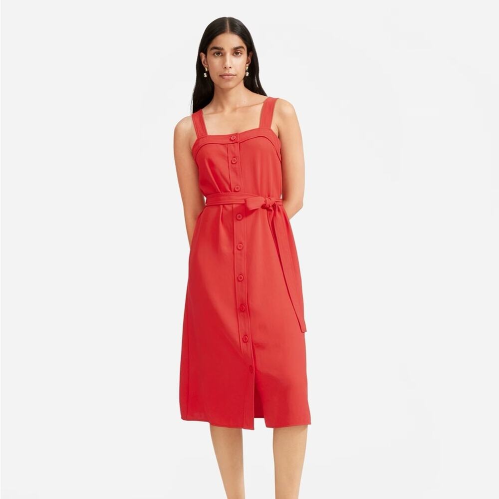 Everlane The Japanese GoWeave Picnic Dress